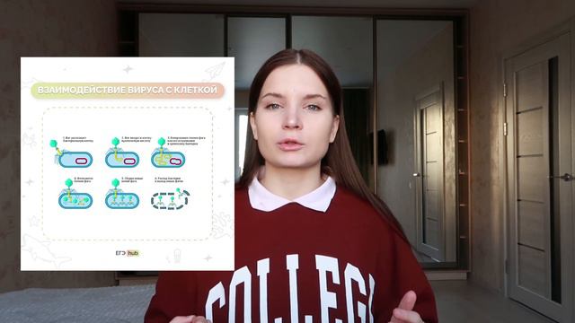 ЭТА ОНЛАЙН ШКОЛА ПРОСТО... / ЕГЭ 2024 / смотреть онлайн