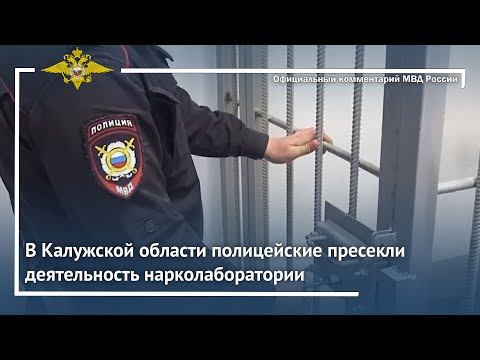 Ирина Волк: В Калужской области полицейские пресекли деятельность нарколаборатории смотреть онлайн