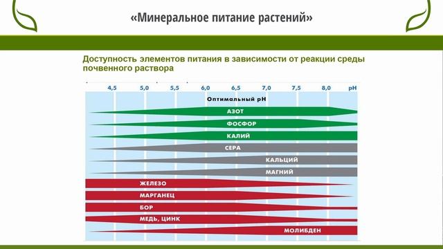 МИНЕРАЛЬНОЕ ПИТАНИЕ РАСТЕНИЙ смотреть онлайн
