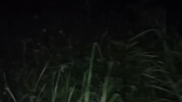 Сторож признался, почему нельзя ходить на кладбище после 12 ночи смотреть онлайн