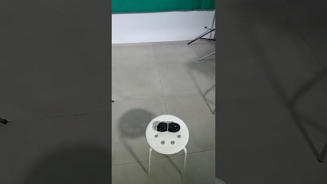 Кабель-аттенюатор для подключения рекордера ZOOM H1 и фотокамеры.