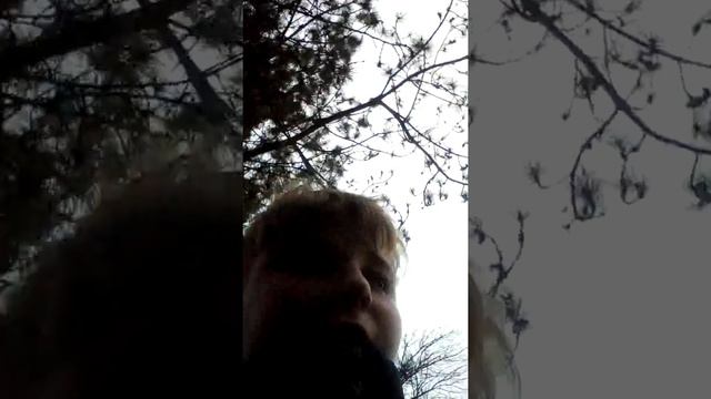 Как стать титаном в реальной жизни смотреть онлайн