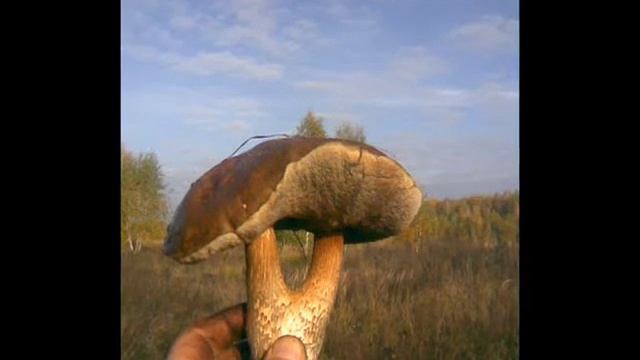 Райский уголок в Курской области. смотреть онлайн