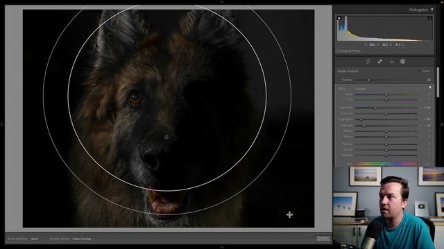 Lightroom Tutorial: How to Create a Black Background for Dramatic Portraits ⚫ смотреть онлайн