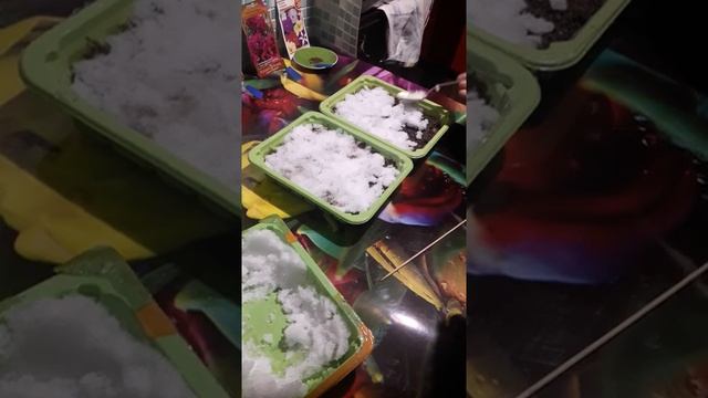 Посев петунии. Посадка в снег. смотреть онлайн