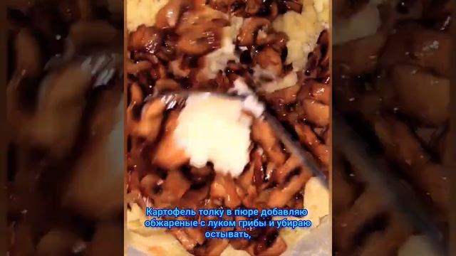 Пирожки с картофелем и грибами.#рекомендации #пирожки #шампиньоны смотреть онлайн