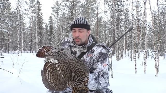 ДОБЫЛ САМКУ ГЛУХАРЯ / САМАЯ КРУПНАЯ ПТИЦА СЕВЕРА / ОХОТА С МЕЛКАШКОЙ / ОБЪЯСНЯЮ ДИВАННЫМ ЭКСПЕРТАМ. смотреть онлайн