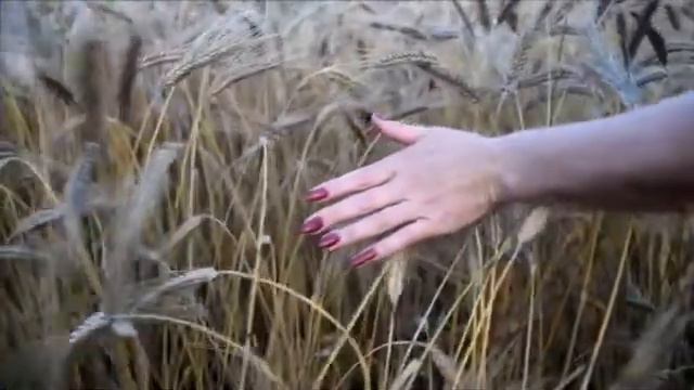 ТЫ ПРОСТИ МЕНЯ ЛЮБИМАЯ ! смотреть онлайн