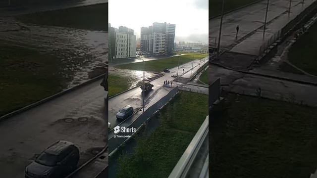 Сейчас возьмут и установят ограждение, видео снято за несколько дней #Shorts смотреть онлайн