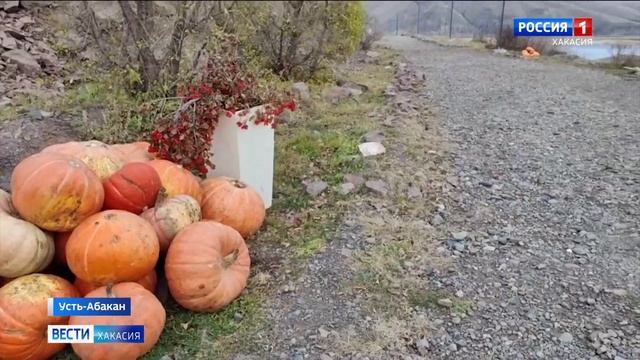 В Хакасии впервые отметят Тыквенный спас и разыграют на нём смартфон смотреть онлайн