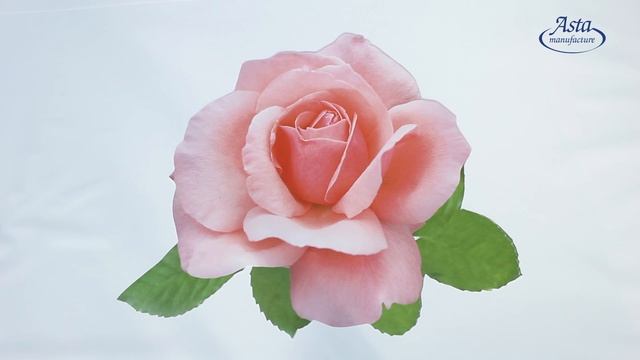 Наклейки на натяжной потолок от компании Аста М смотреть онлайн