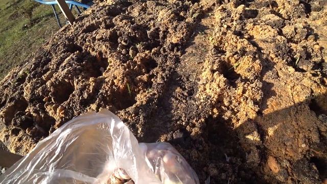 Чеснок под зиму. Советуюсь с мамой. Цена щебенки смотреть онлайн