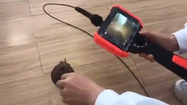 CK5-39024 5" video borescope videoscope with 3.9mm, 2m 360 degree Probe. Image Demo смотреть онлайн