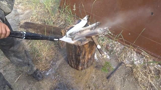 чиска рыбы кёрхером смотреть онлайн