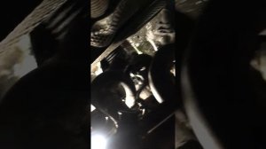 Замена помпы на бмв е90 320 рестайлинг. N46.