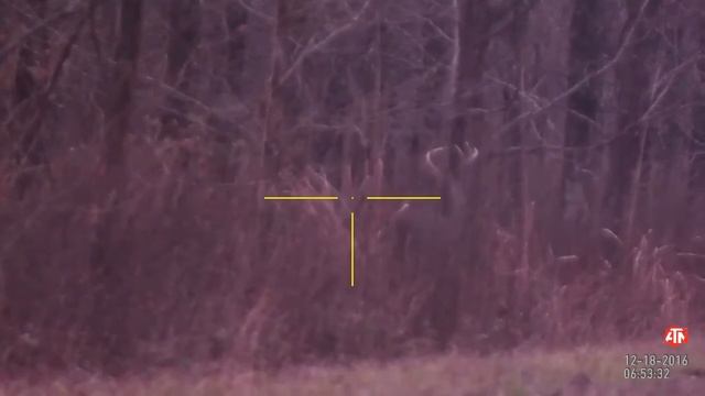 Прицел для охоты Американское качество ATN X SIGHT 2 HD 5 20x смотреть онлайн