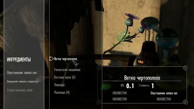 прохождение игры The Elder Skrols V SKYRIM: 9 серия( хреновый алхимик) смотреть онлайн