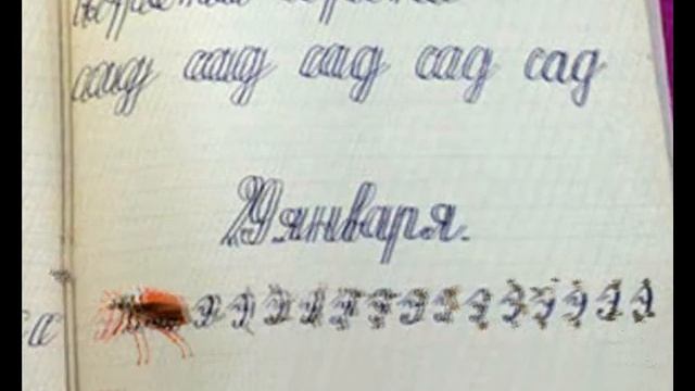 Соседке по парте Первоклашкам 1962 года ст Андрюки смотреть онлайн