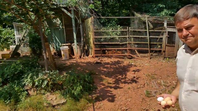 Дон Пабло - Пенсильвания(12)Доктор Павел ! Курочка смотреть онлайн