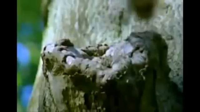 ХОРОШЕЕ   НАСТРОЕНИЕ     позитивчик