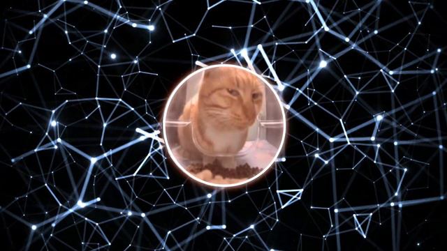 Chipi Chipi Chapa Chapa (remix)