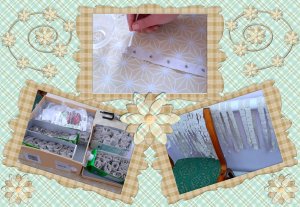 ✅Как правильно наклеить семена Моркови Свеклы на туалетную бумагу Мой метод хранения семян до посева