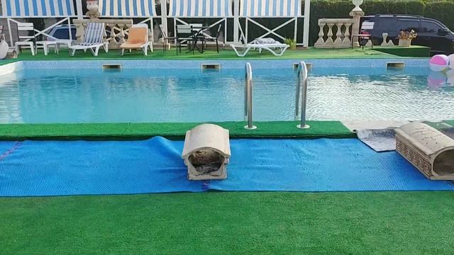 Бердянская коса.Отель ЗАМОК ВЕНЕЦИИ?Попала в сказку?.Рыцарские бои. смотреть онлайн