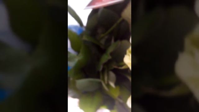 Букет цветов 4 смотреть онлайн