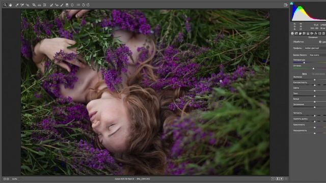 "гармония цвета" занятие 4 "Цвет кожи часть два работы с чёрно-белом изображении" смотреть онлайн