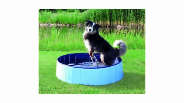 Стоит ли покупать бассейн для собак TRIXIE Dog Pool сине-голубой 80х80х20см отзывы Триест нравятся