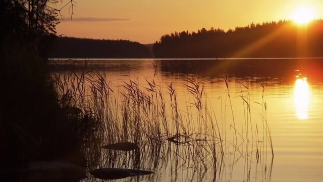 Очень красивая инструментальная музыка. Туманное утро . Композиция Сергея Гришука смотреть онлайн