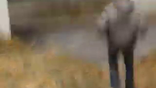 Tom & Gerben adventures: Suicide смотреть онлайн