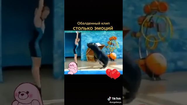 Танец с морским львом под песню Гульмиры Избасхановой "Сени суйем" смотреть онлайн