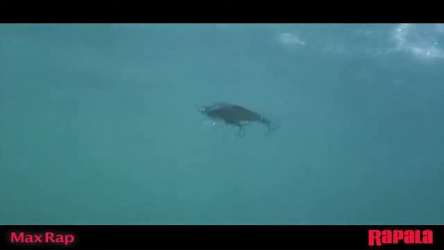 Rapala Max Rap смотреть онлайн