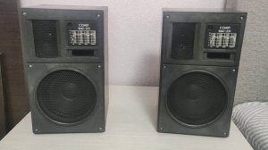 Колонки СОНЕТ 10АС - 231 тест