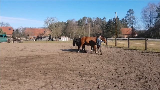Power of Trust // Liberty & Free Riding смотреть онлайн