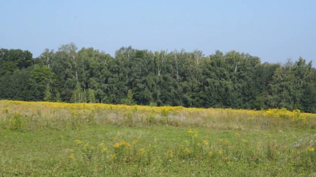 Ника, курсинг, пара смотреть онлайн