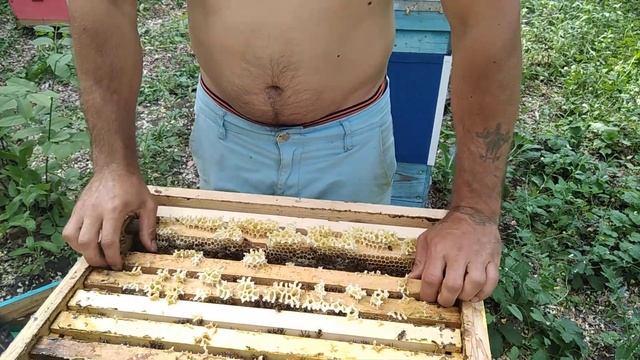 Итог по акации! смотреть онлайн