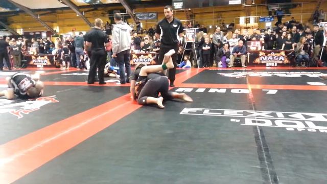 Griff NAGA Albany 2014 no gi смотреть онлайн