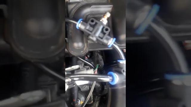NISSAN LIVINA 1.8 FLEX - VAPOR DE GASOLINA DIRETO DO TANQUE смотреть онлайн