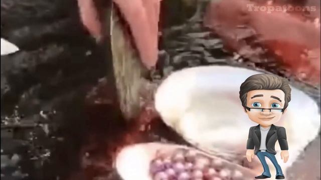 PAANO NABUBUO ANG MGA PERLAS смотреть онлайн