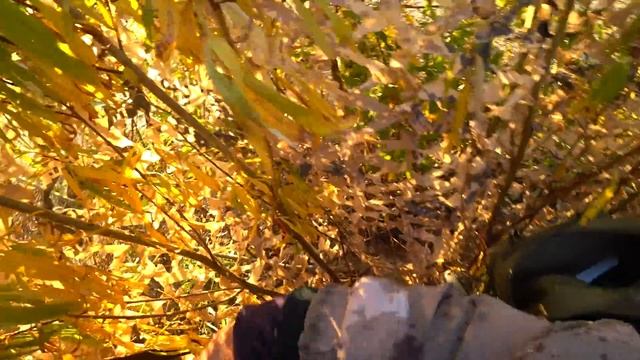 ОХОТА НА ГУСЯ / ОХОТА НА УТКУ / КАК СЕВЕРЯНЕ ГУСЕЙ И УТОК ДОБЫВАЮТ / Goose hunting смотреть онлайн