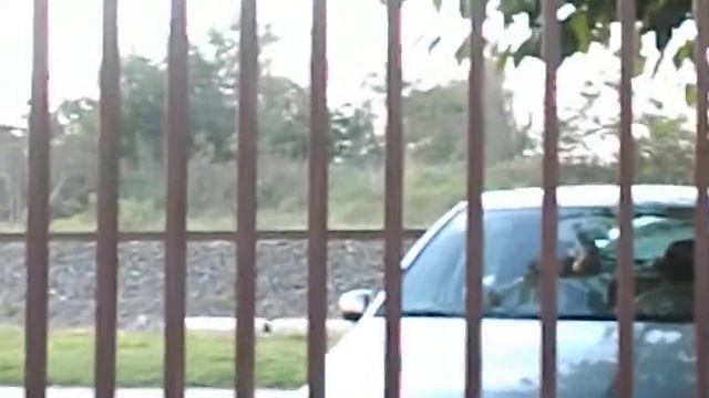 Why are Nikon L27 are had a this zoom??? смотреть онлайн