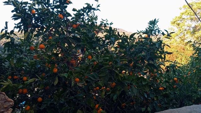 ЕСТЬ ЕЩЁ МУЖЧИНЫ...ПРОШУ О ПОМОЩИ!:) смотреть онлайн