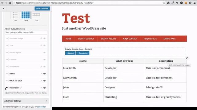Display Gravity Forms entries on any WordPress page/post without code | Conductor plugin смотреть онлайн