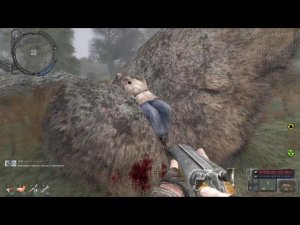 сталкер Возвращение в зону Кровопийцы найти курьера