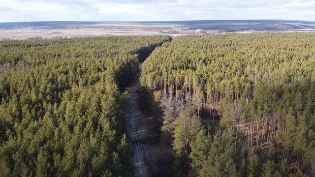 Весна в Шелудьковке! Полет на квадрокоптере) смотреть онлайн