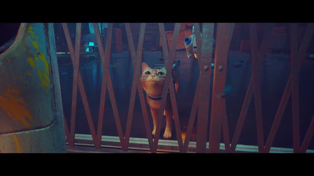 Stray . Кот за решёткой