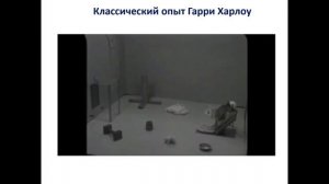 Вебинар «Материнская депривация»