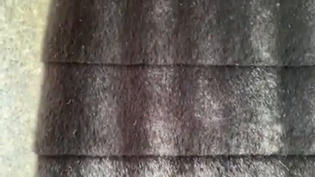 Норка стрижка черная смотреть онлайн